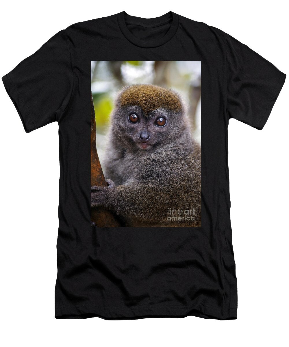 Animals 22 Ben Yassa T-Shirt
