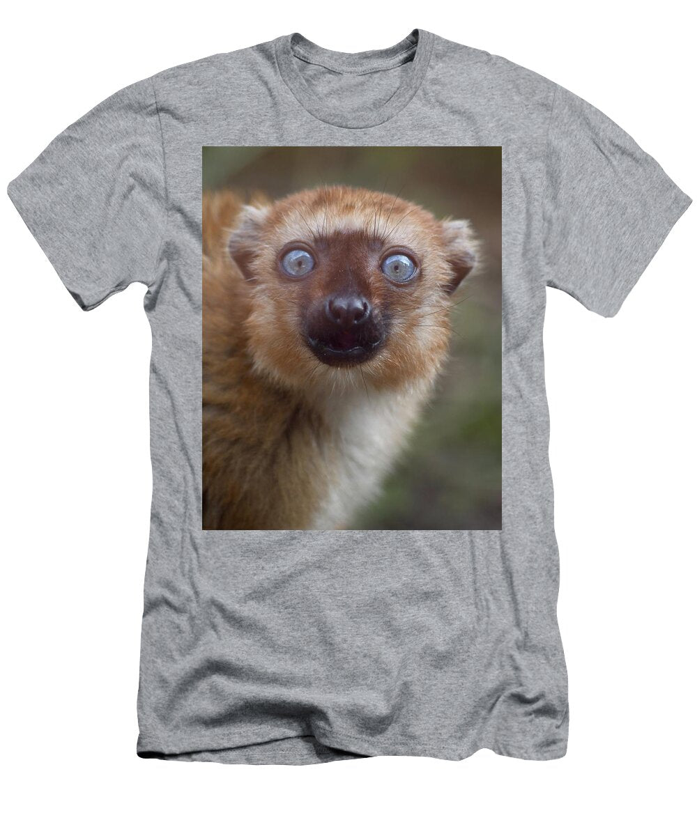 Blue Eyed Black Lemur Richard Bryce and Family T-Shirt