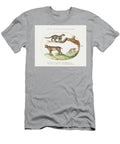 Civet Lynx and Hyena 1575 1580 Painting in High Resolution By Joris Hoefnagel Arpina Shop T-Shirt