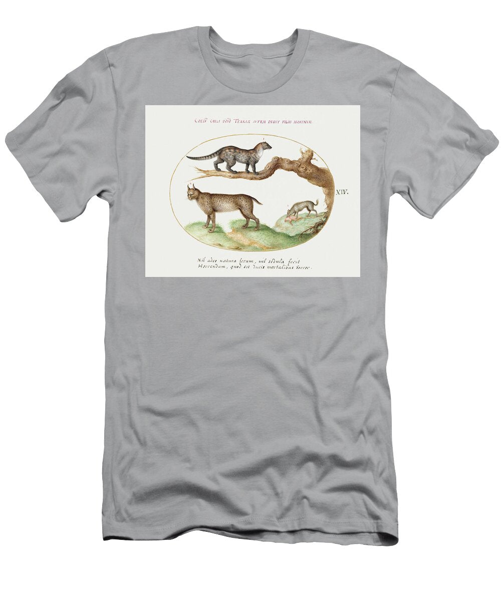 Civet Lynx and Hyena 1575 1580 Painting in High Resolution By Joris Hoefnagel Arpina Shop T-Shirt