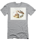Cross Fox Hyena Baboon Sea Wolf and a Gulon 1575 1580 Painting in High Resolution By Joris Arpina Shop T-Shirt