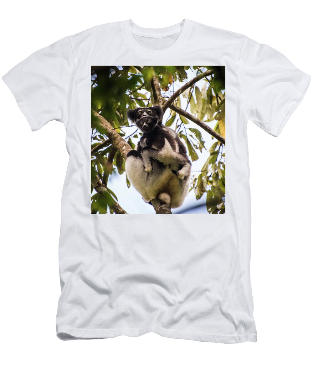 Double Vision Alex Lapidus T-Shirt
