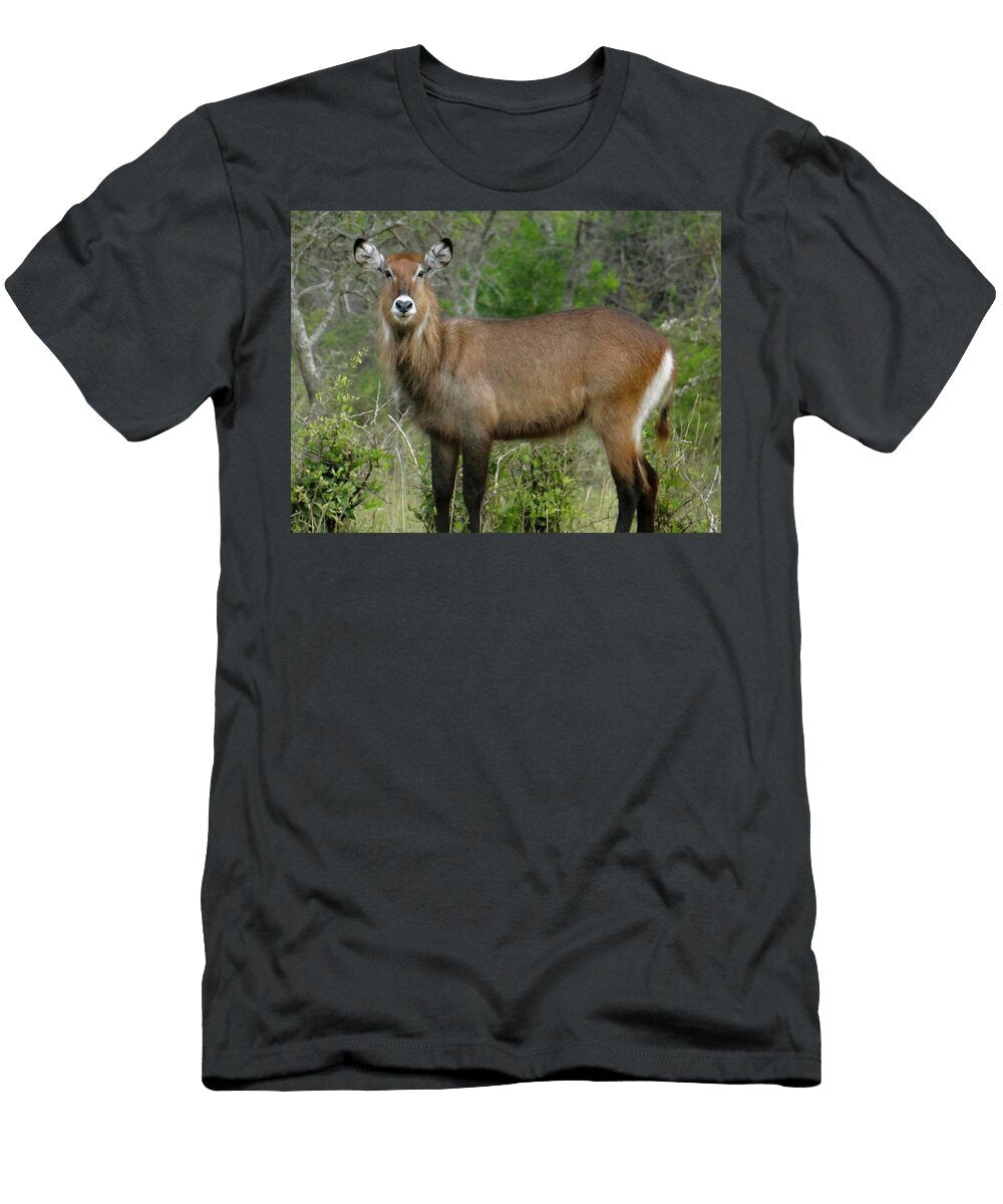 Heart Shaped Nose Exploramum Exploramum T-Shirt