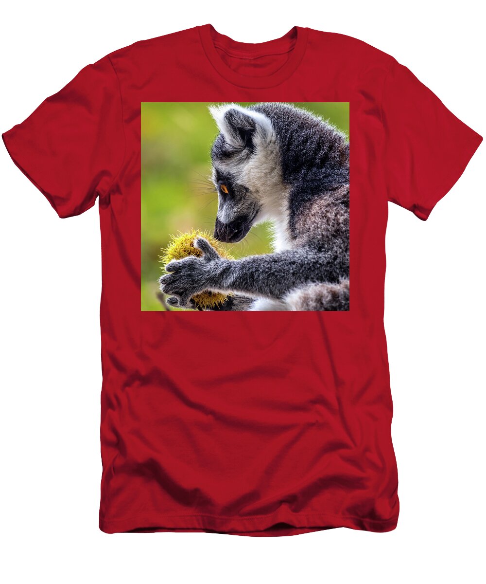 Lemur and Sweet Chestnut Nick Bywater T-Shirt