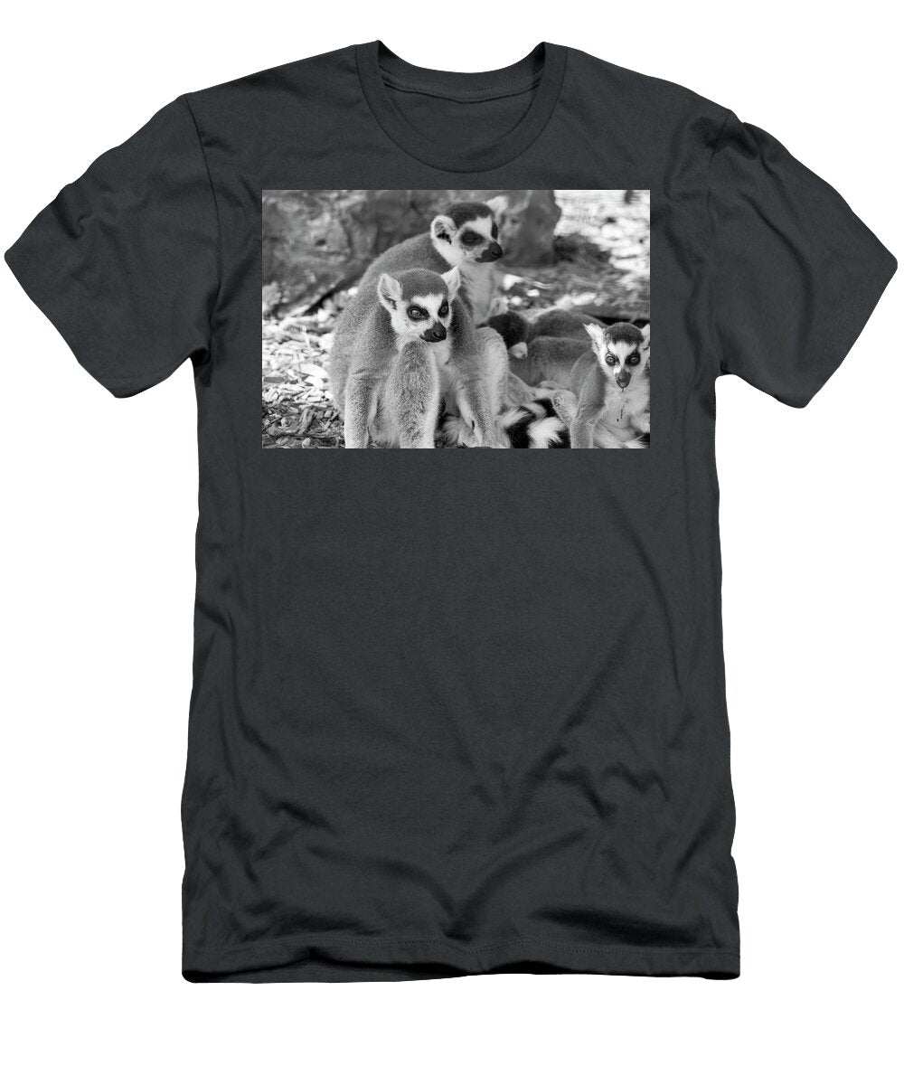 Lemurs David Stasiak T-Shirt