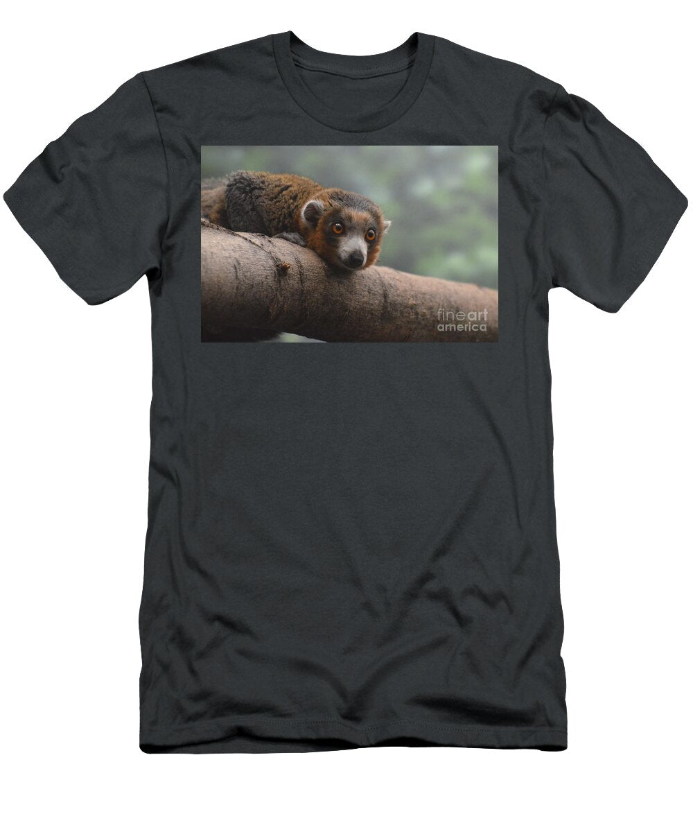 Mongoose Lemur Dejavu Designs T-Shirt
