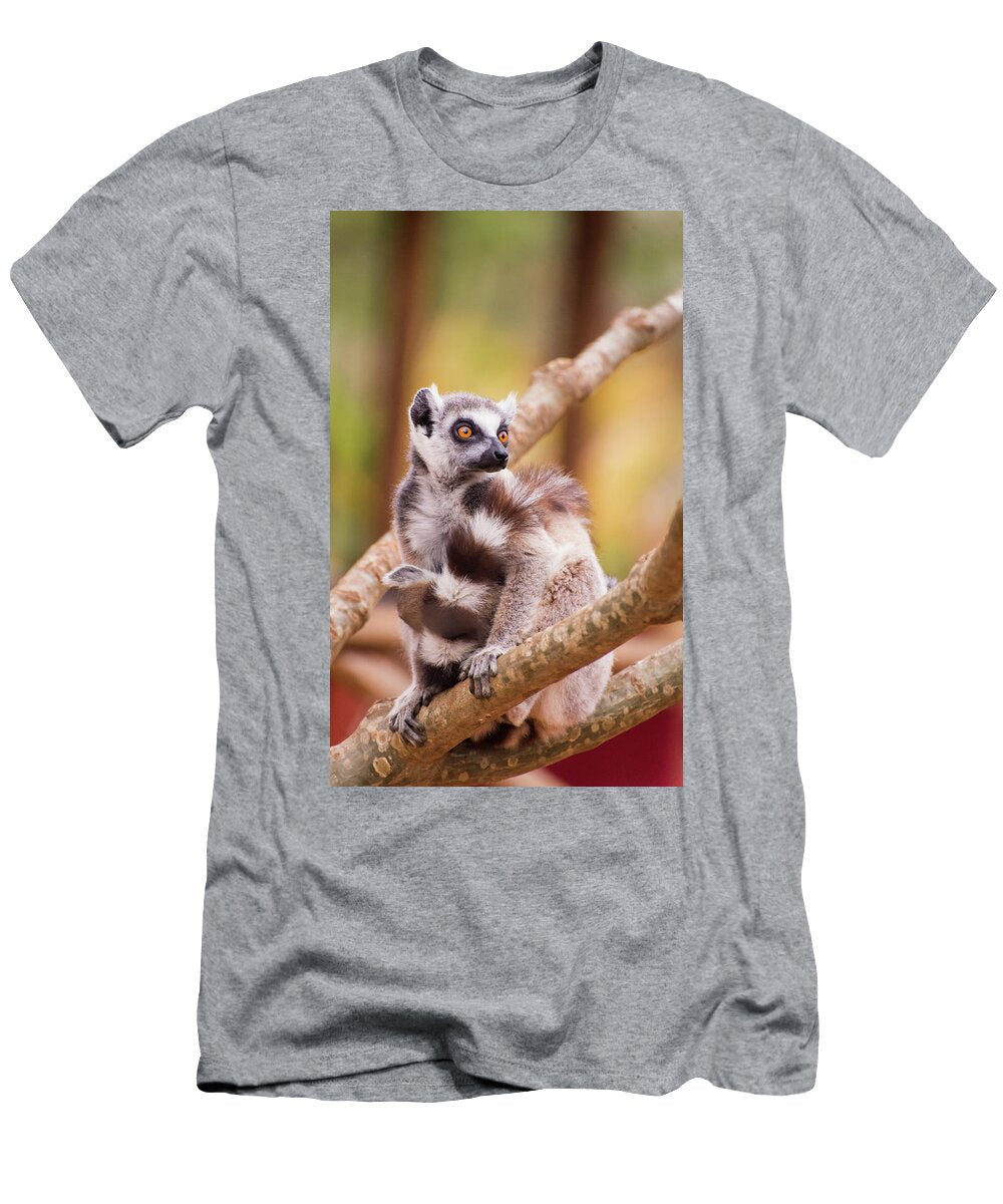 Poised Alex Lapidus T-Shirt