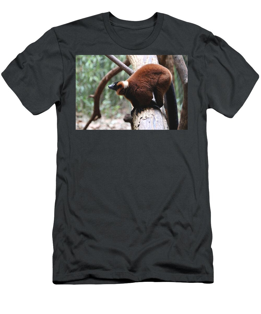 Red Ruffed Lemur Daniel Overton T-Shirt