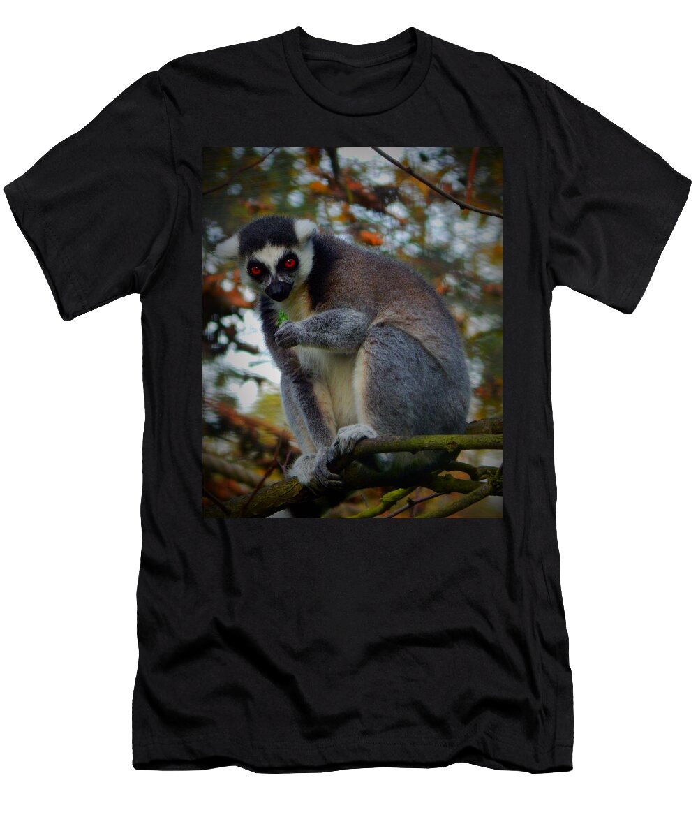 Ring Tailed Lemur Brandie Nicely T-Shirt