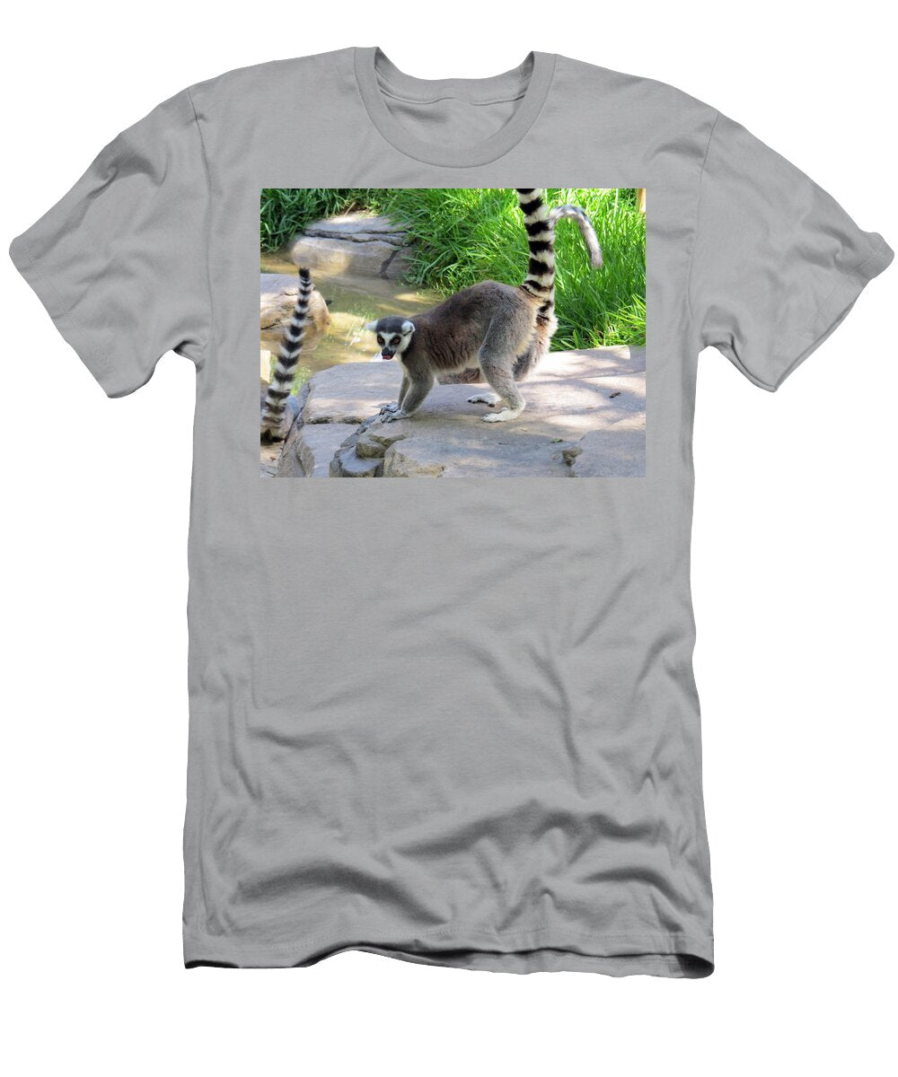 Ring Tailed Lemur Drinking Water From a Pond Jessica Foster T-Shirt