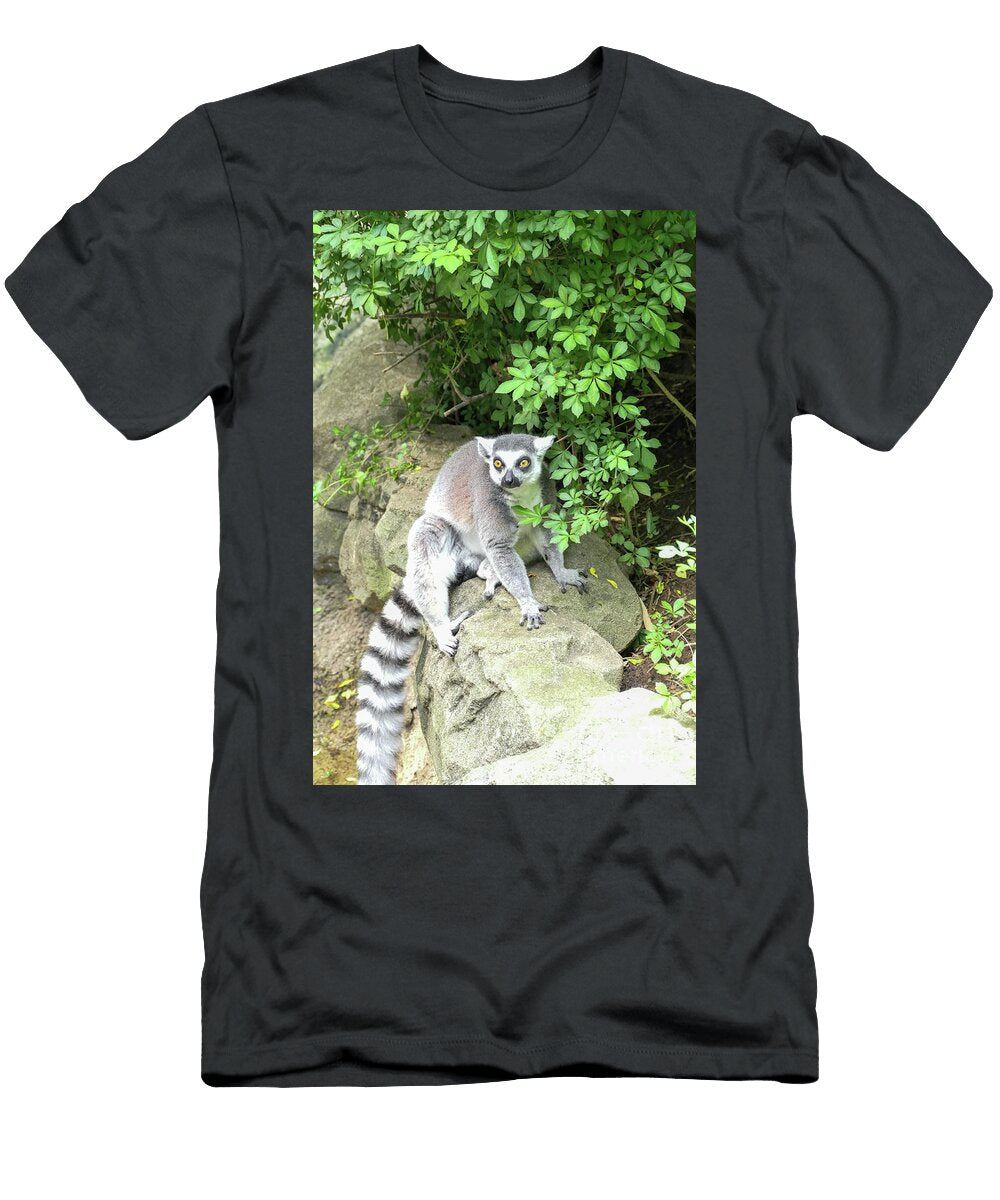 Ring Tailed Lemur on a Stone Wall Bentley Davis T-Shirt