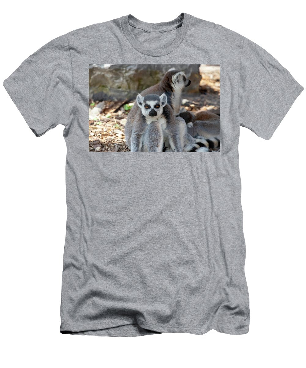 Stare Down David Stasiak T-Shirt
