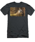 Stripped Tail Lemur At Rest Tito Santiago T-Shirt