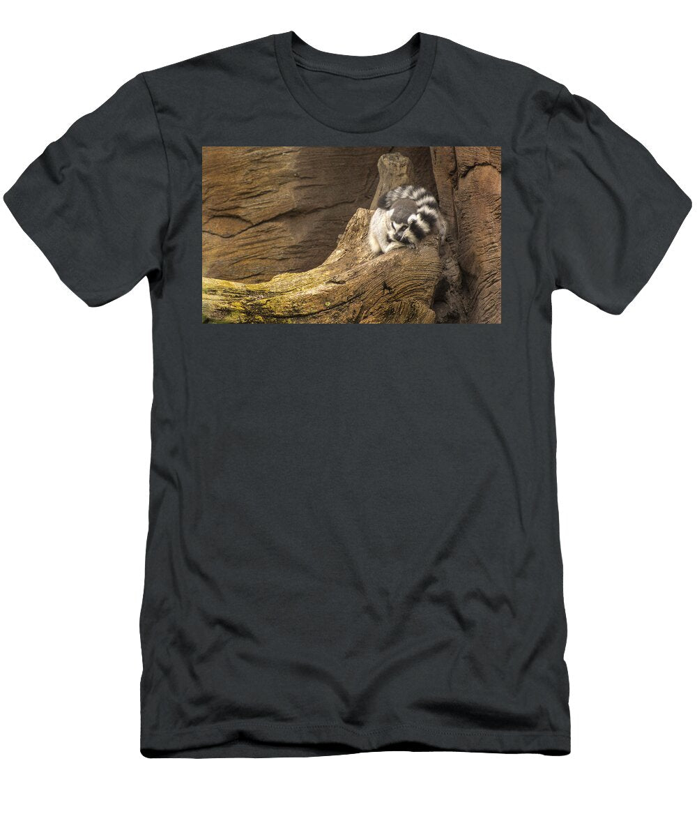 Stripped Tail Lemur At Rest Tito Santiago T-Shirt