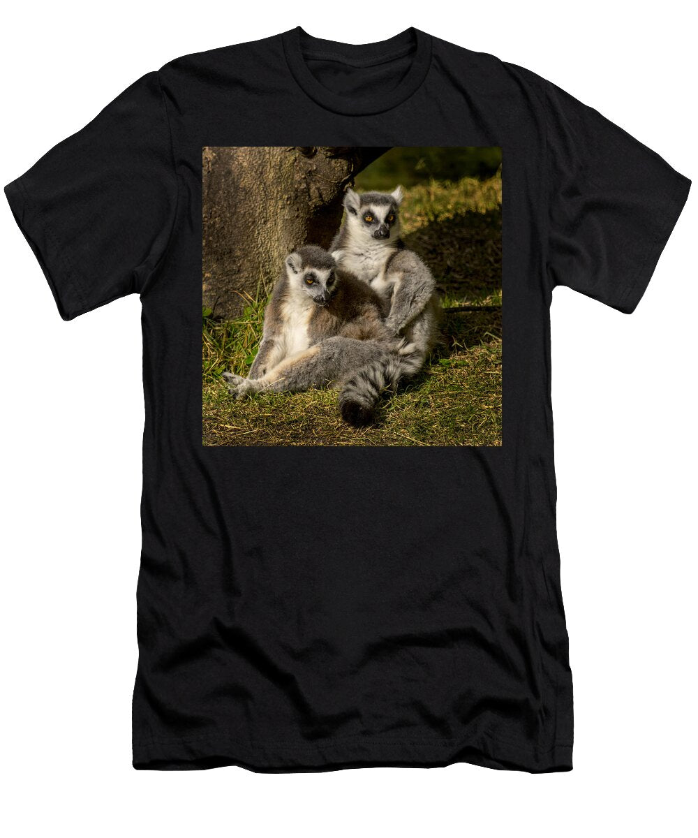 Stripped Tail Lemurs Tito Santiago T-Shirt