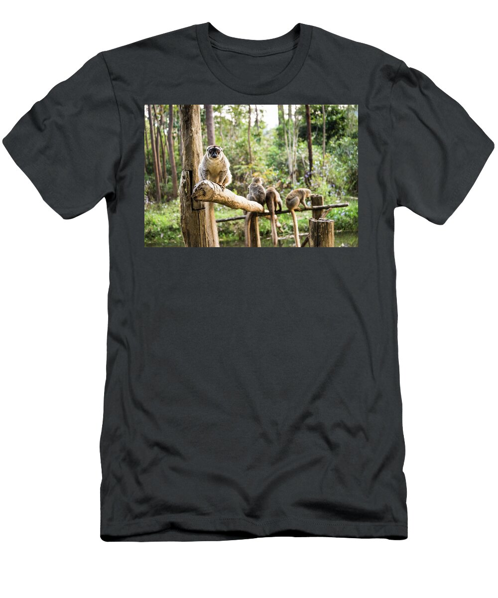 The Sentinel Alex Lapidus T-Shirt